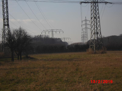 DSCI0197.JPG