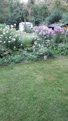 IMG-20170814-WA0002.jpeg