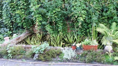 IMG-20170814-WA0007.jpeg