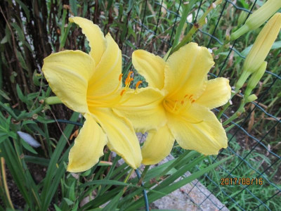 IMG_6033 small.jpg