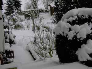 Blick_in_Garten1.jpg