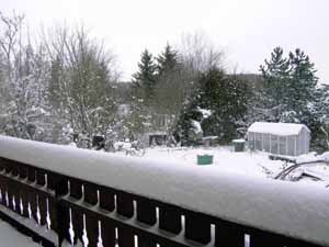 Blick_vom_Balkon_in_Gemusegarten.jpg