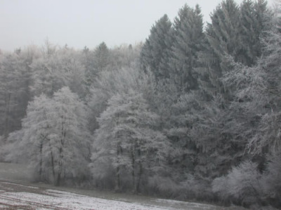DSCN23031_Rauhreif_.jpg