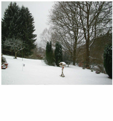Schnee_am_27.01.07.jpg