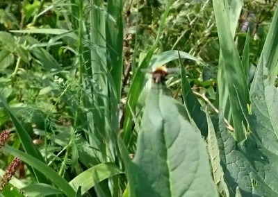 _20170817_140456.JPG