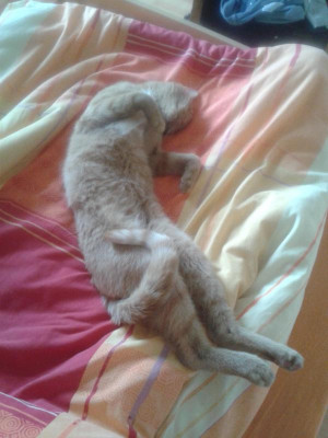 20170818_085346.jpg