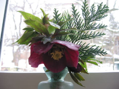 Lenzrose__Vase.jpg
