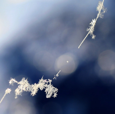 Schneekristall7.jpg