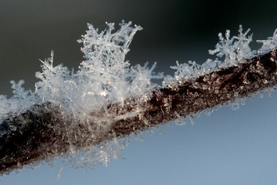 Schneekristall-4.jpg