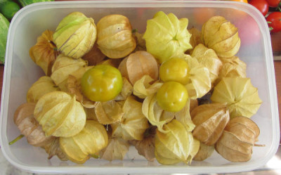 Andenbeeren.jpg