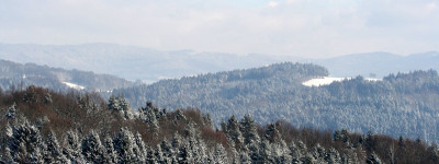Bayerischer-Winterwald.jpg