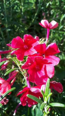 20170820_153001.jpg