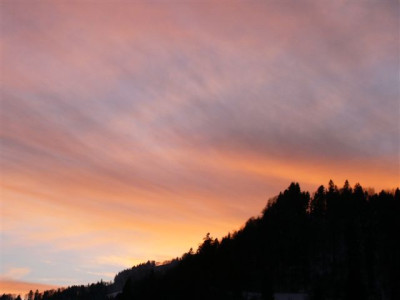 28.01.2007.4.JPG