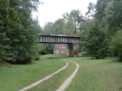 CIMG9727.JPG