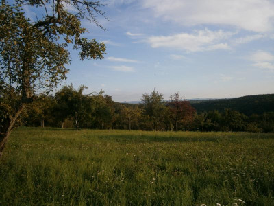 Bonlanden Streuobstwiese 008.JPG