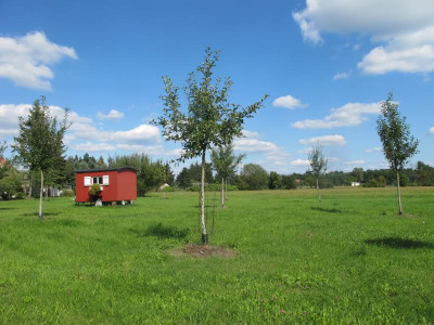 Streuobstwiese klein 23.8.17 ue.JPG