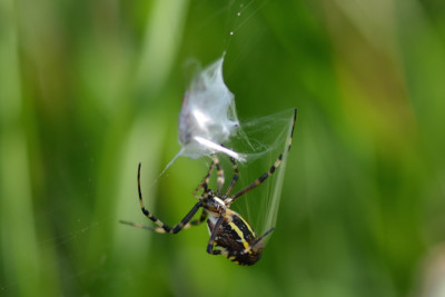 DSC_2303.jpg