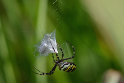 DSC_2308.jpg