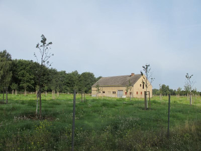 Streuobstwiese gross 2 24.8.17 ue.JPG