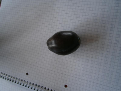 Dattelzwetschge 003.JPG