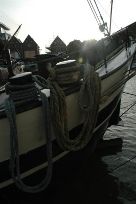A1645_Large.jpg