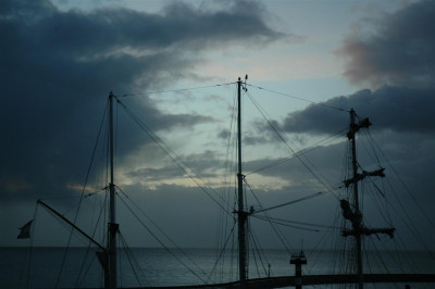 A1665_Large.jpg