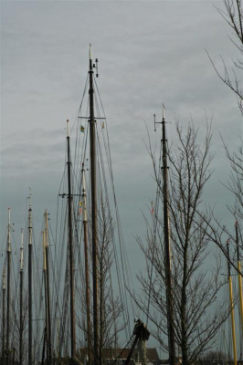 A1632kopie_Large.jpg