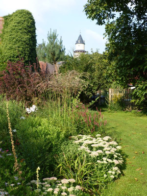 2017-08-27 Garteneinblick 2.jpg