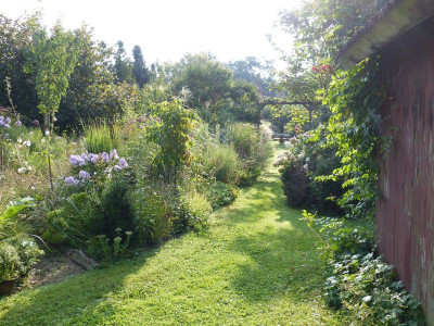 2017-08-27 Garteneinblick 5.jpg