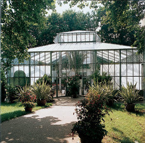 Gewachshaus.jpg