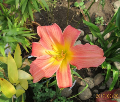 IMG_6134 small.jpg