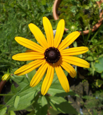 2017-08-20 11.22.23.jpg