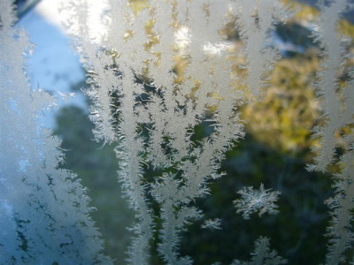 30.01.2007.0.JPG