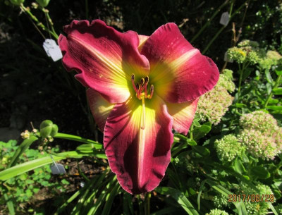 IMG_6144 small.jpg
