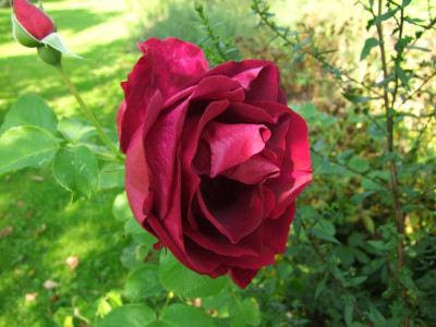 29.08.2017 14-47-37_1943.jpg