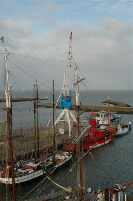 A1693_Large.jpg