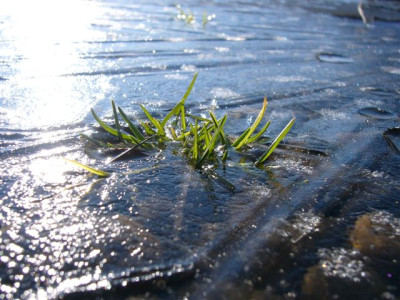 30.01.2007.4.JPG