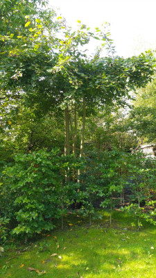 20170830_101459.jpg