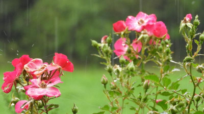 DSCN0661.JPG