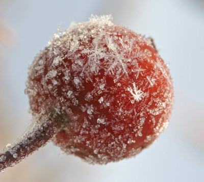 Schneekristalle-160.jpg