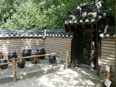 P1280840_800.jpg