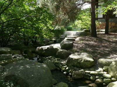 P1280841_800.jpg