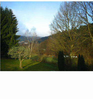 Dunst_weg_1.02.07.jpg