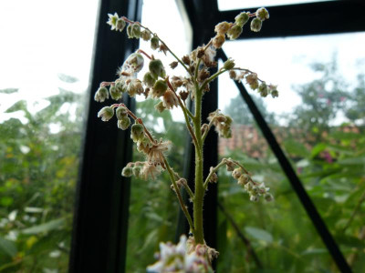 P1110200.JPG