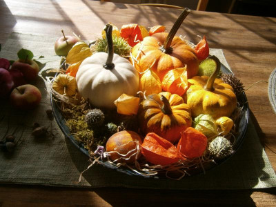 Kürbis 009.JPG