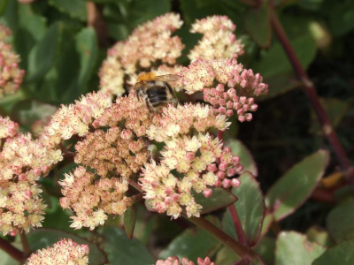 DSCF4380.JPG
