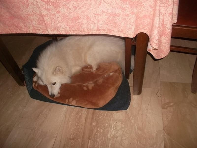 SAM_7357.JPG
