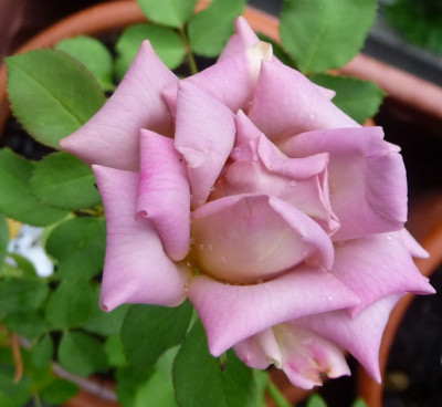 HDxBfy6_0917_05.JPG