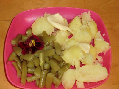 CIMG9811.JPG