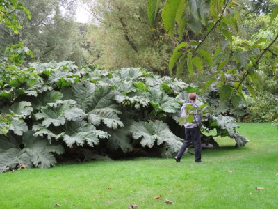 EDI_RoyalBotanicalGarden.jpg